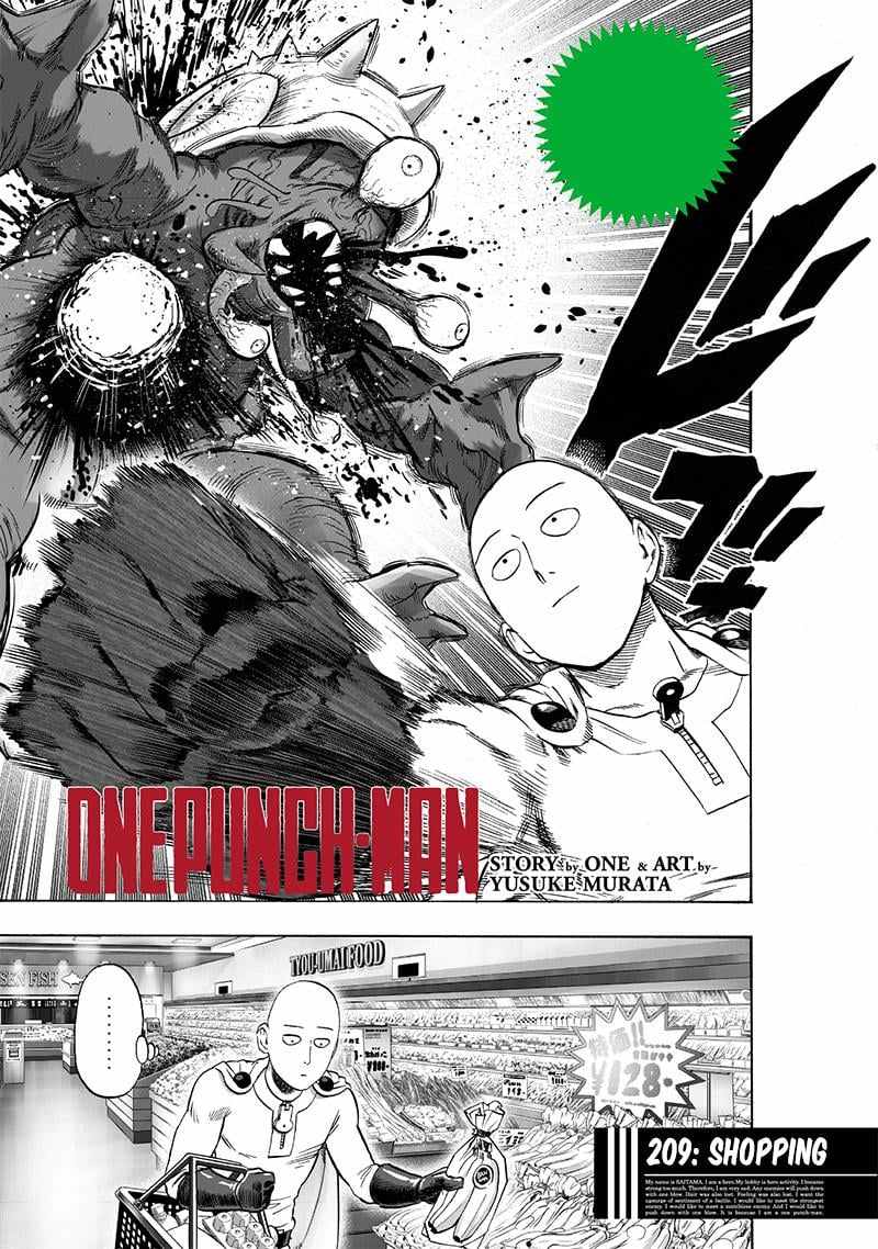 One Punch Man - Chapter 207.5 image 3